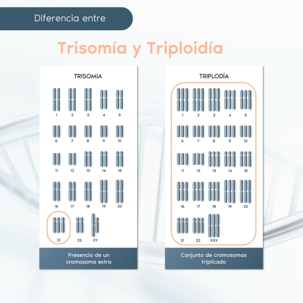 Trisomía y Triplodía